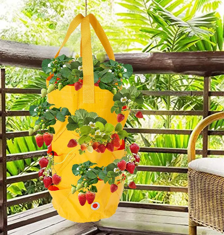 3 Gallon Strawberry Planting Bag PE10 Mouth Flower Planter Pouch Color Hanging Fruit Plant Pot Gardening Seedling Hanging Bag