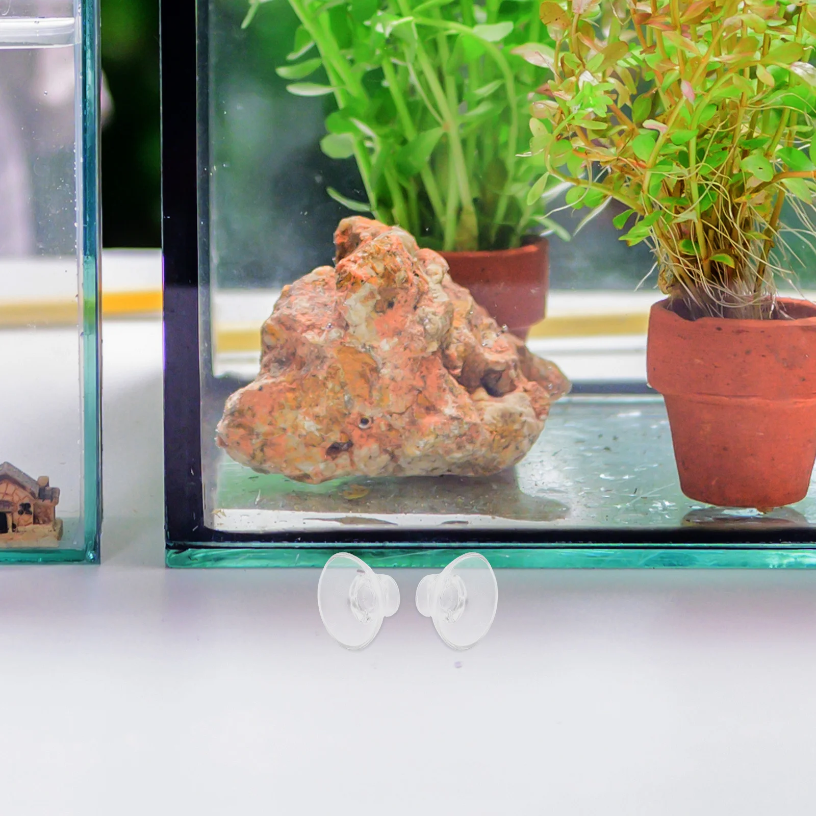 

20Pcs Aquarium Suction Cups Clear High Transparency Strong Hold Planter Fixing Clips for Fish Tank Air Hose Cable Moss Shrimp