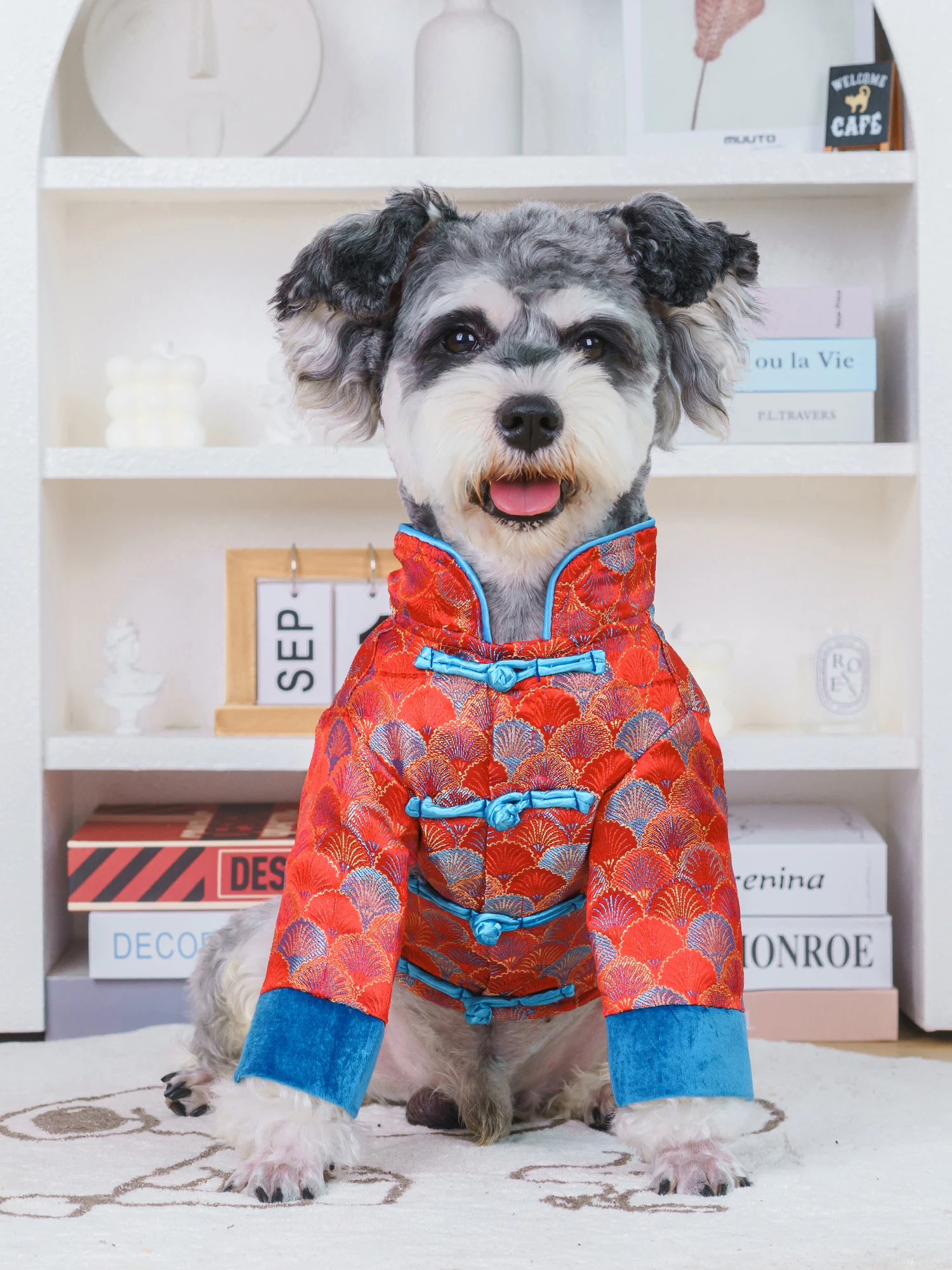 

Make Your Pet Stand Out with Eye-Catching Chinese Style Clothes