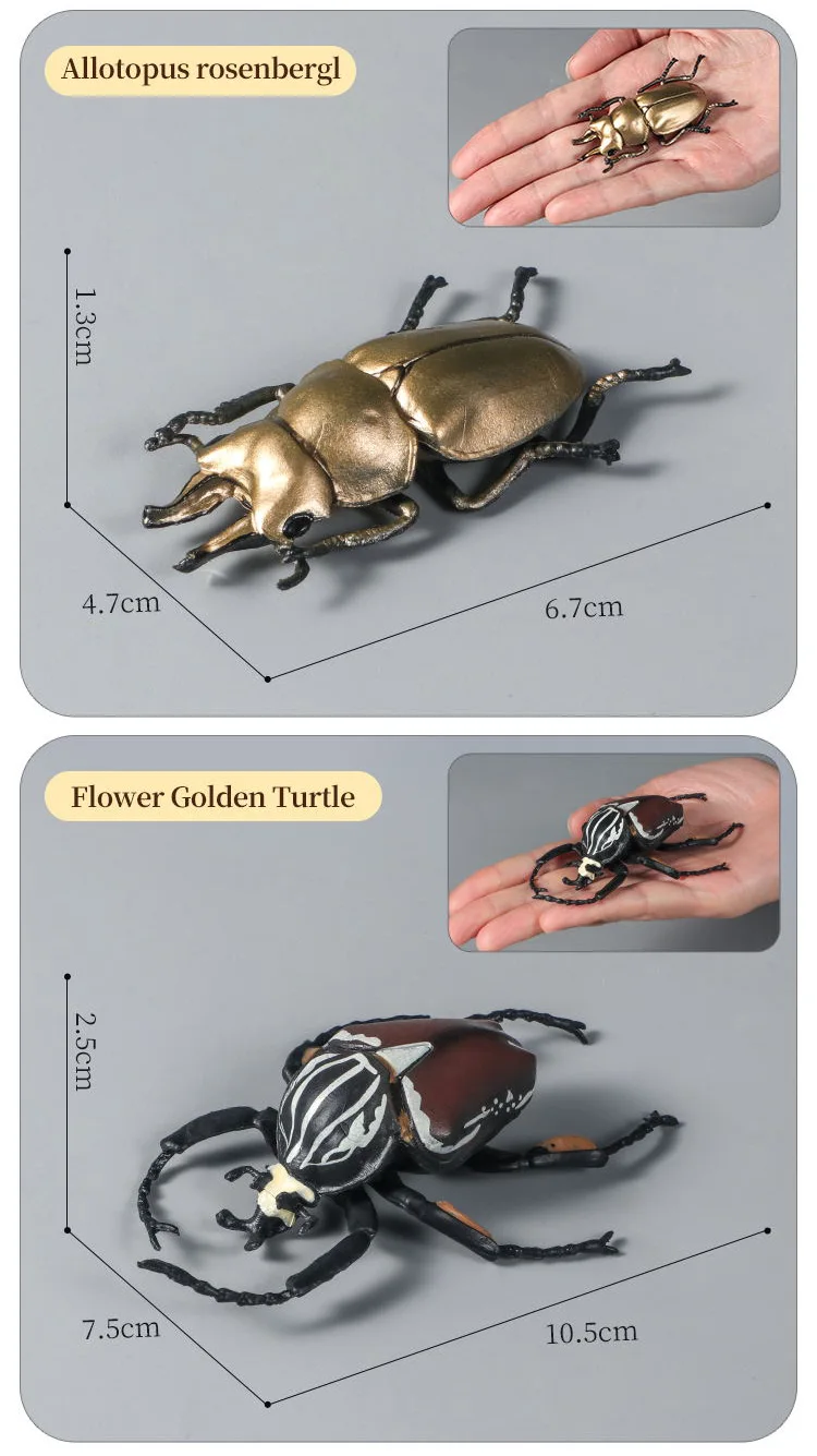 Pädagogisches Insekten-Tiere-Modell-Spielzeug-Set mit Schmetterling, Biene, Libelle, Mantis, Ameise, Schnecke, Actionfiguren für Kinder, Sammlung, Dekoration – Detail 16