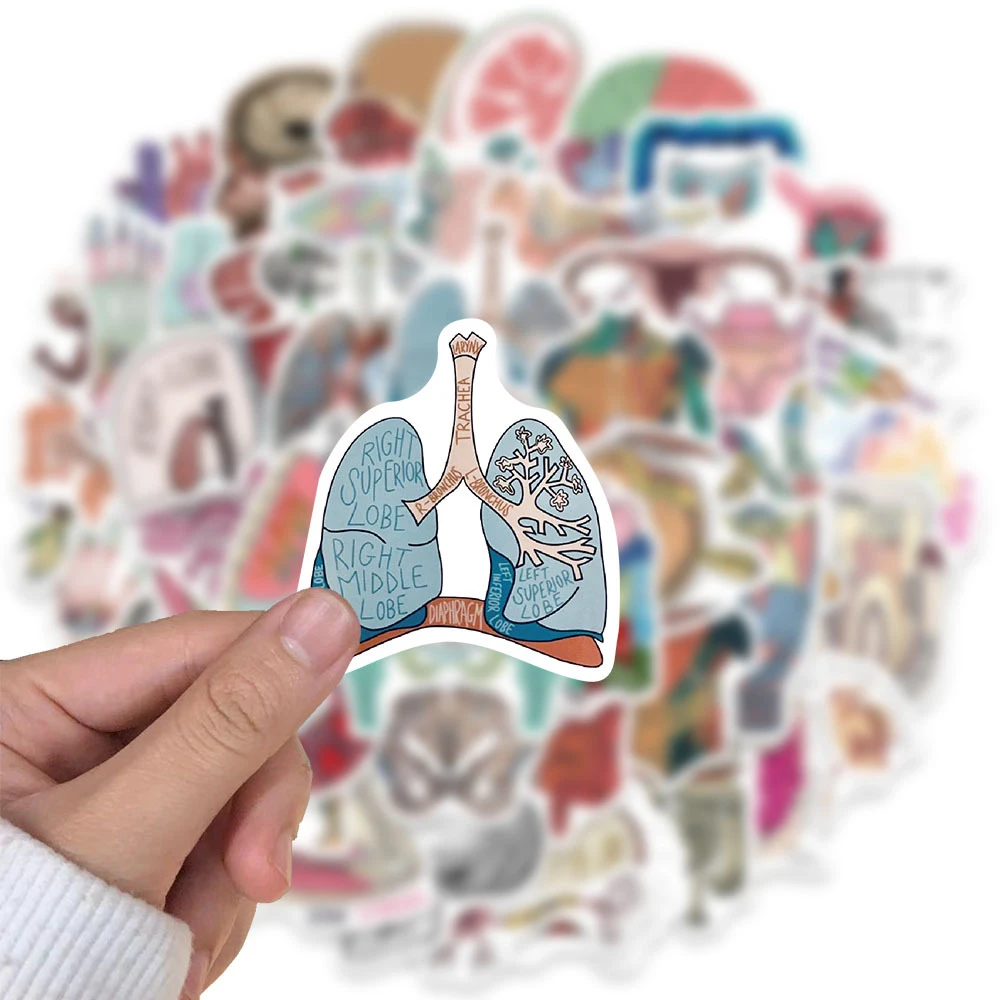 10/30/50pcs Human Body Organ Anatomy Stickers Cartoon Graffiti Decals DIY Scrapbook Notebook Suitcase Waterproof Sticker Decor