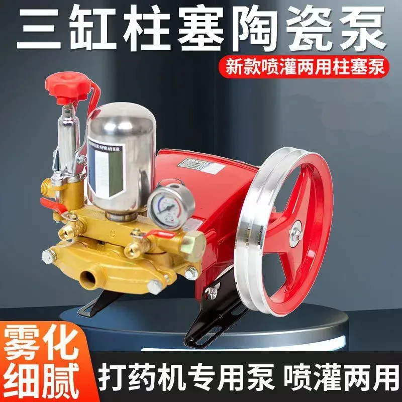 Agricultural Fruit Tree High Pressure Atomizing Car Washing Machine Sprayer Three-Cylinder Plunger Ceramic Spraying