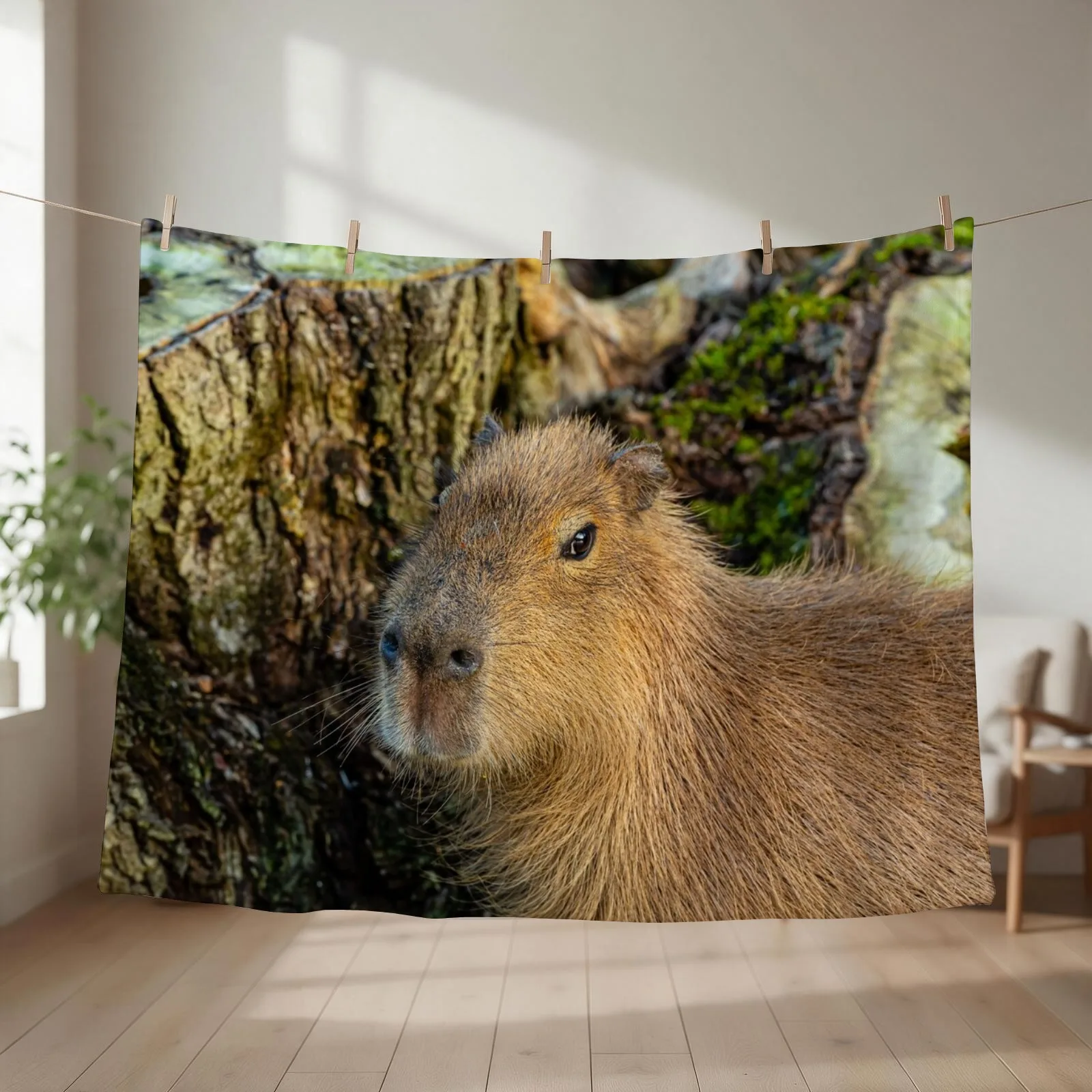Just watching the world go by Throw Blanket couch cozy soft plush fuzzy picnic outdoor blanket
