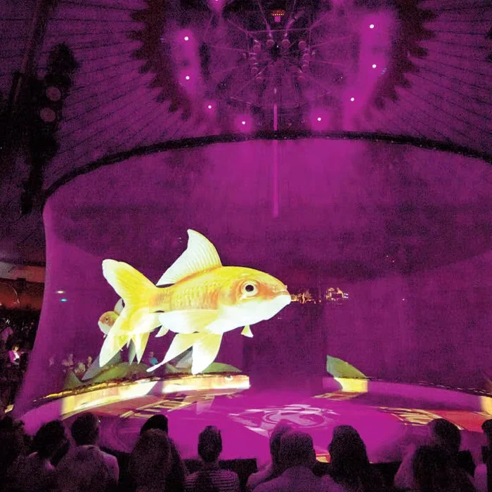 

3D Hologram Projection Screens Hologauze for Shows, up to 10x30 Meter Seamless