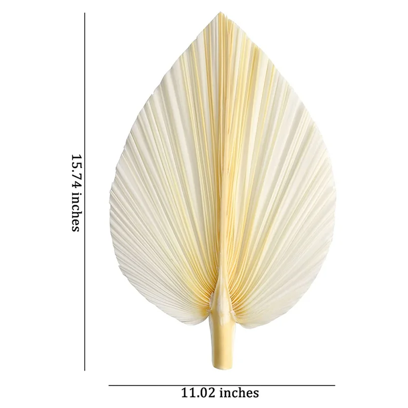 Folhas de palmeira secas brancas grandes A24P - qualidade premium - 18 peças elegantes e modernas boho para decoração de casa e casamento - arte de parede