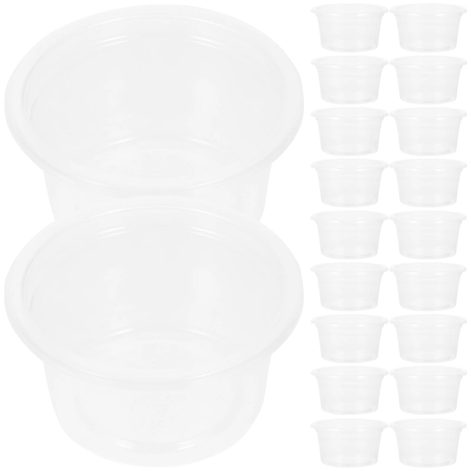 

20 Pcs Reptile Food Water Box Transparent Dish Household Multi function Cup Bowl Crawl Pet Supplies Easy Wear Resistant