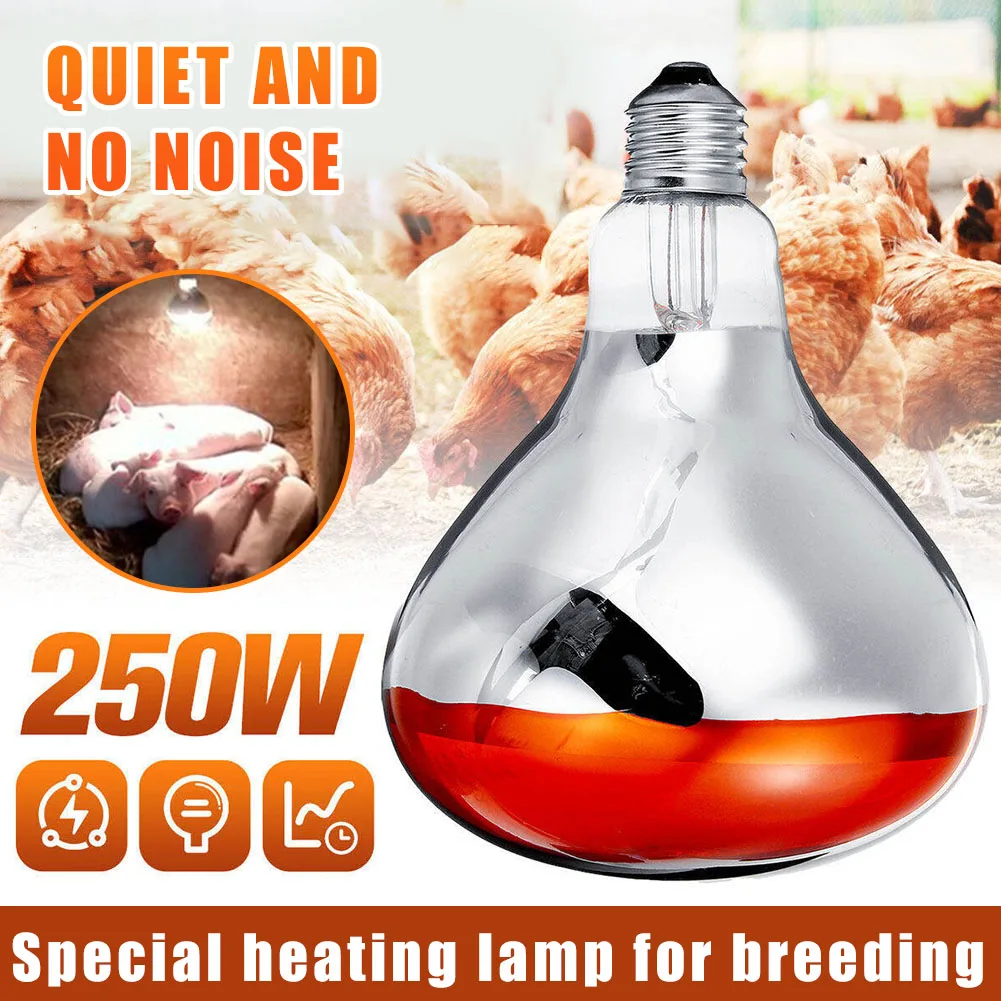 

Breeding Heating Lamp Quartz Glass High Quality Thick Tungsten Filament Warm Animal Light Household Piglet Chicken Heating Lamp