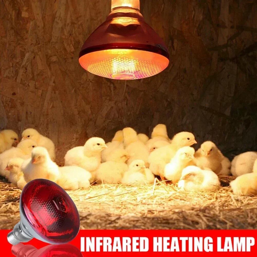 220V Infrared Heating Bulb Lamp 100/150/200/275W for Amphibians Reptiles Poultry Pets Livestock E27 Chicken Duck Farm Supplies