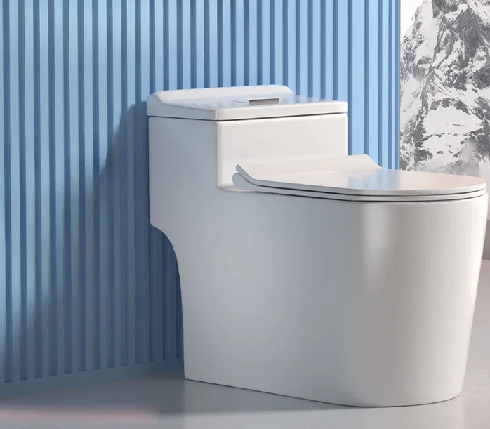 Бытовой смываемый туалет, туалет, небольшая квартира, керамический сифон, экономия воды Бытовой смываемый туалет, туалет, небольшая квартира, керамический сифон, экономия воды