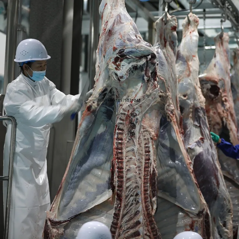 Complete Slaughterhouse Cattle Abattoir Equipment Cow Carcass Slaughter Processing Line Machine for Beef Slaughter Equipment