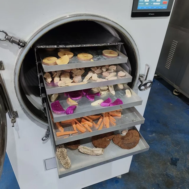 0.5 Cubic Meter Household Version Small Vacuum Freeze-Drying Electric Heating Experimental Fruit And Vegetable Preservation