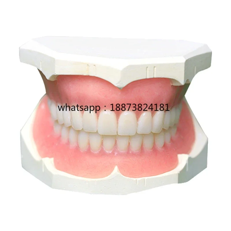 Wholesale Consumables High Quality Artificial Denture  Custom Made Complete fast fast shipping