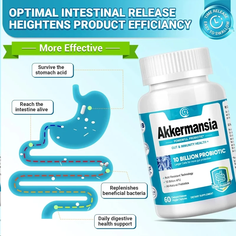 Akkermansia Muciniphila Probiotics High - Probiotics that promote digestive and immune health -10 billion AFU+organic prebiotics