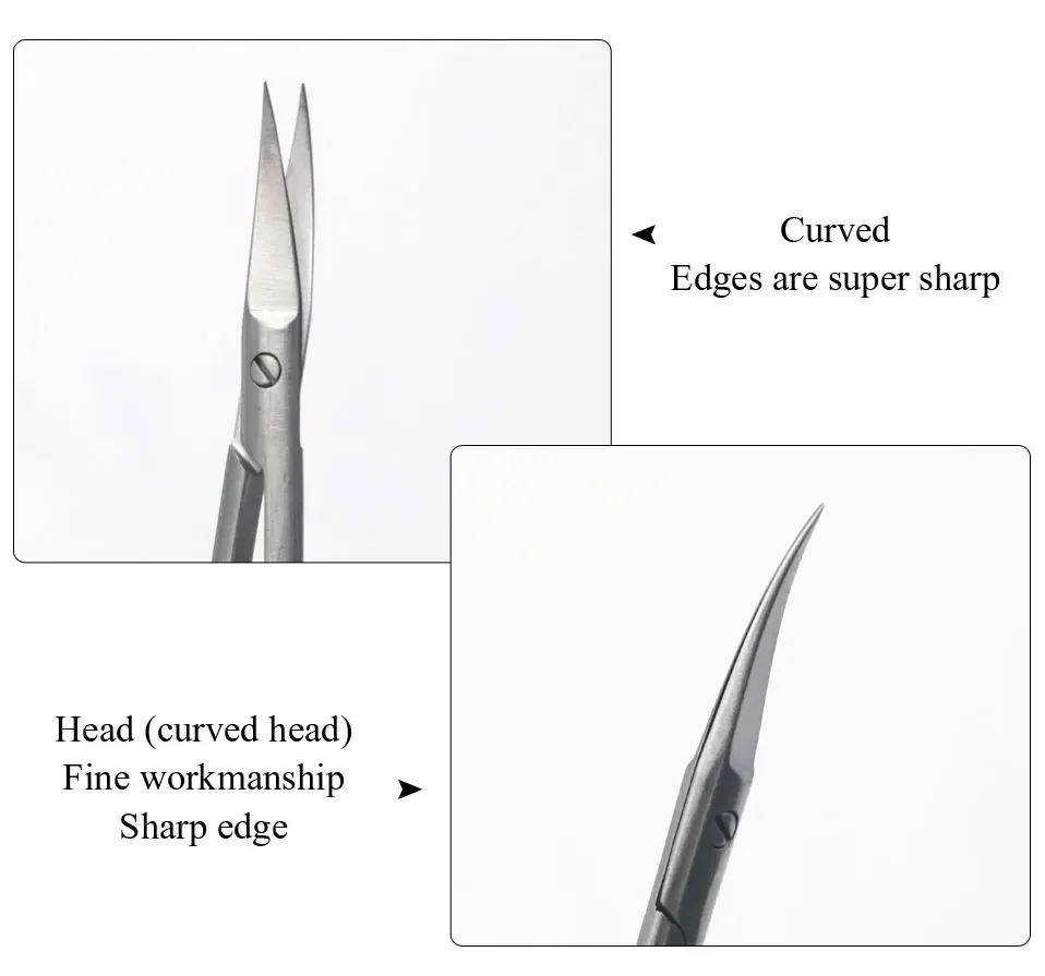 

3pcs Dental And Medical Surgical Scissors Forceps Kit Straight Curved Tips Reusable Stainless Steel Precision Instruments Tools