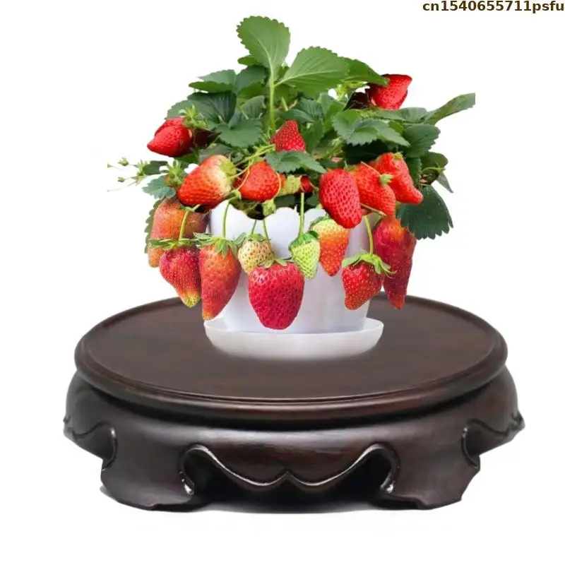Miniature Wooden Display Stand Coffee Tea Sets Pedestal Vase Flower Pot Bonsai Plant Shelf Figurine Sorting Table Log Lathe