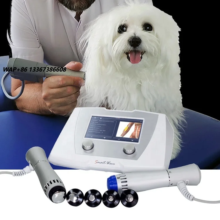 Veterinary shock wave device, animal center, pet medicine and surgery, for dogs/cats/goats/sheep/camels/alpacas