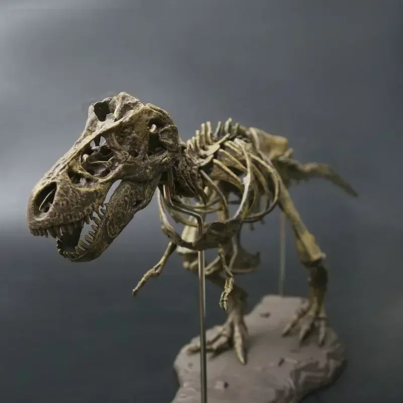 Tyrannosaurus Rex Skeleton Model Realistic Dinosaur Fossil Skeleton Statue for Science Museum Replica Dinosaur Lover Gift