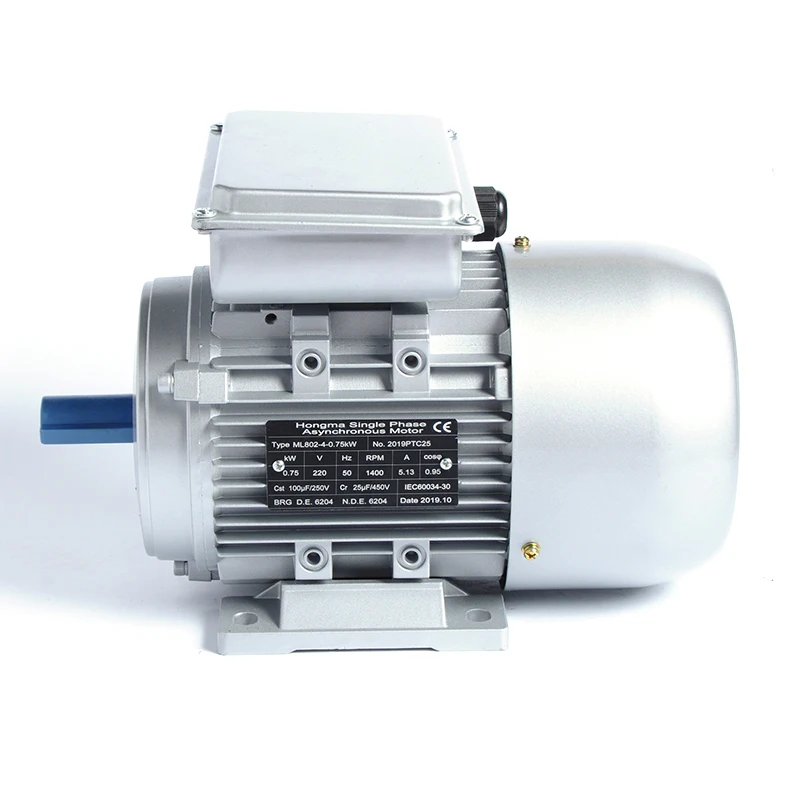 High Quality Single-Phase AC Electric Motors AC Induction Motor 0.75kw 1.5HP 2HP 3HP 4HP 5HP 220V 230V 240V 1400RPM 3000RPM