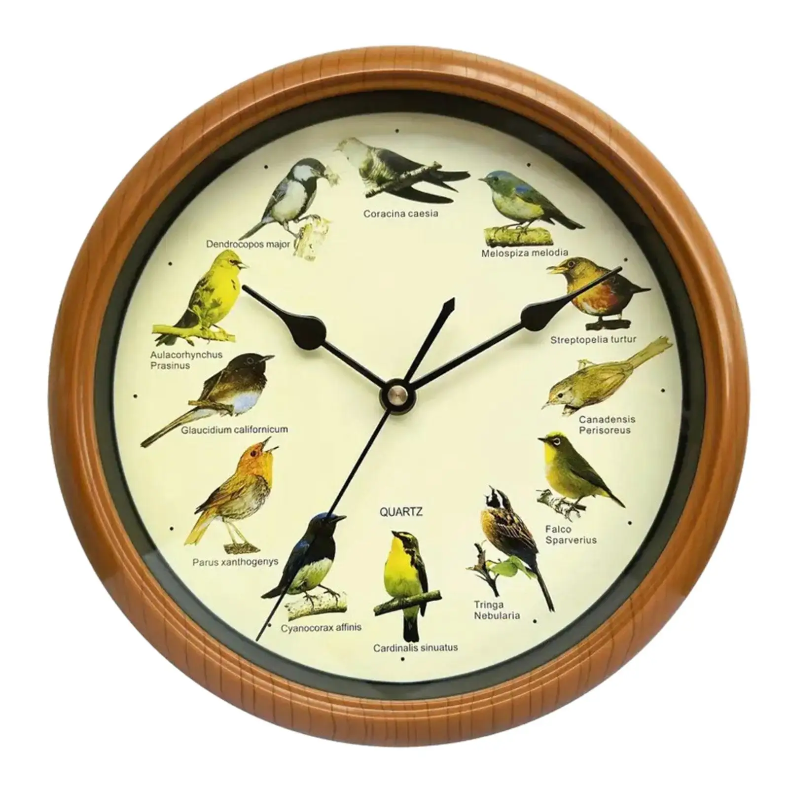 Creative Decor Bird Wall Clock with Sound Silent Movement Round Clock for Bedroom Kitchen and Office Ornament