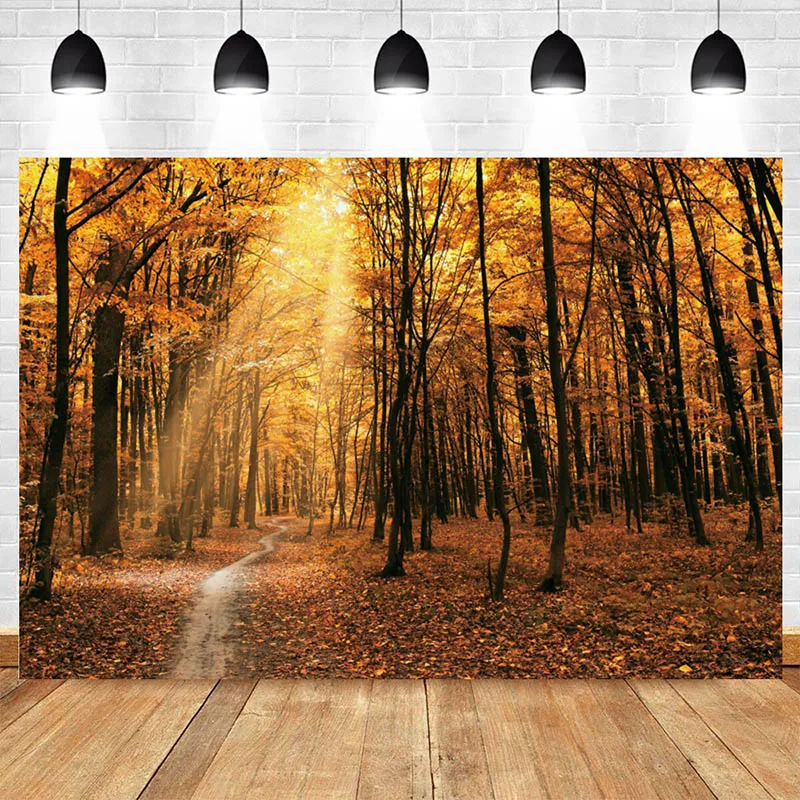 Nature Landscape Picture Autumn Forest Trees Posters Sunshine Prints Canvas, Wall Art, For Living Room Decor Cuadros Gift