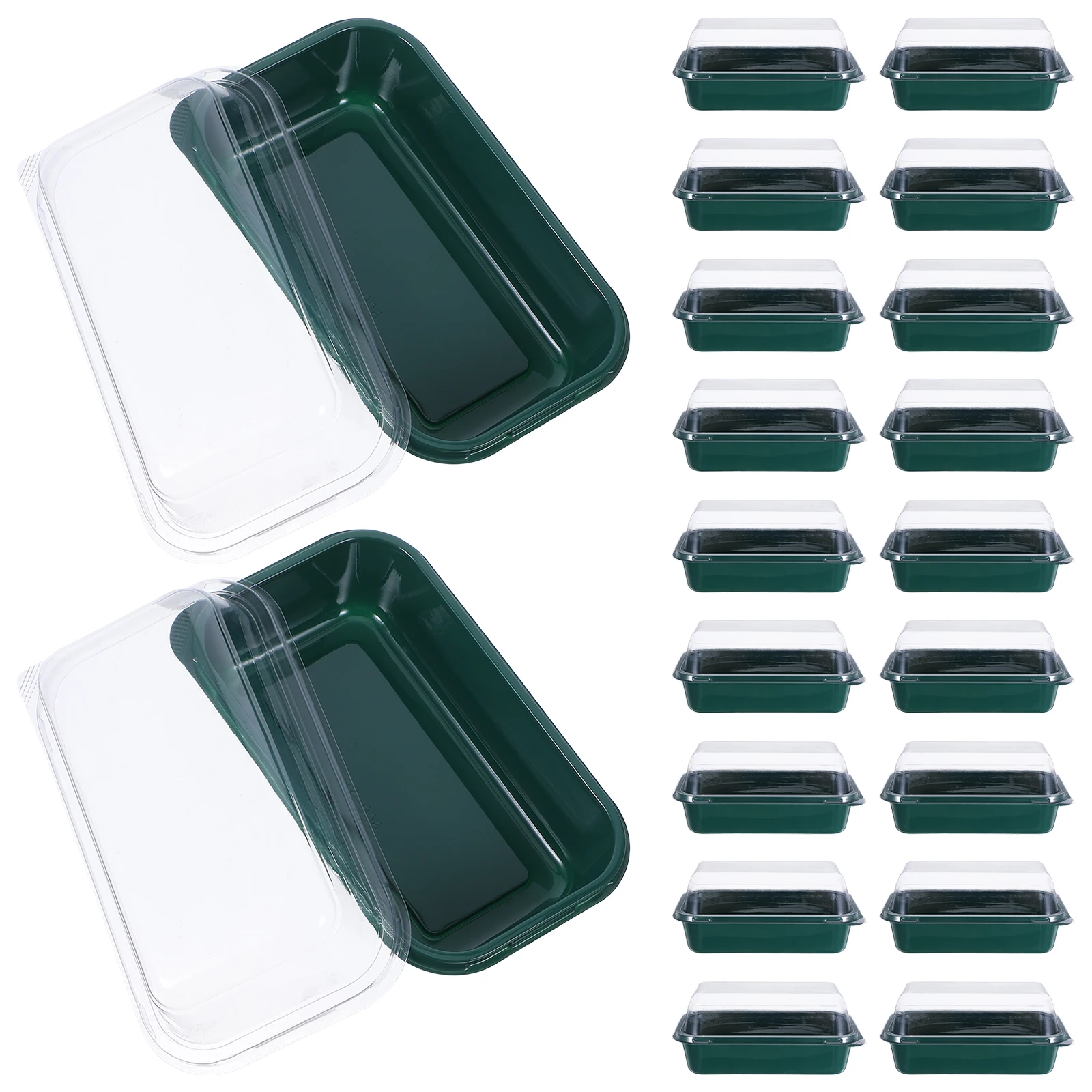 

50 Pcs Butter Box Cookie Cookies Cheese Container Green The Pet Cake Display Boxes