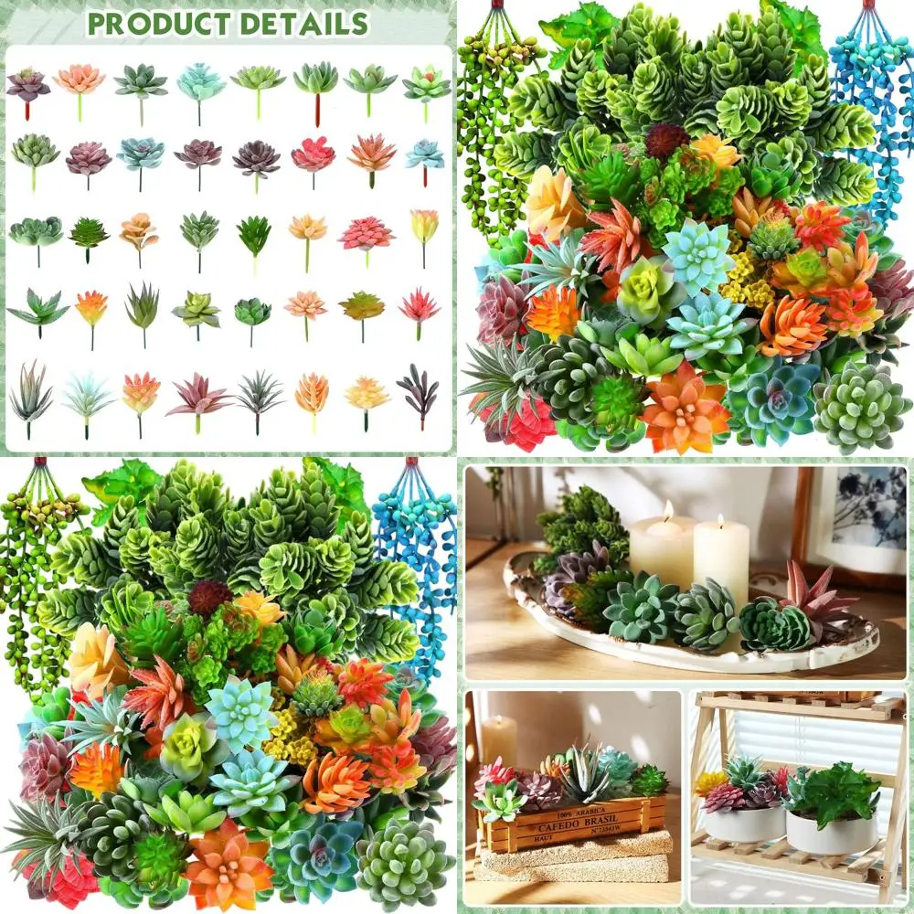

Набор из 80 реалистичных пластиковых суккулентов для ландшафтного дизайна без грунта или для композиций в стиле лотоса (классический стиль)