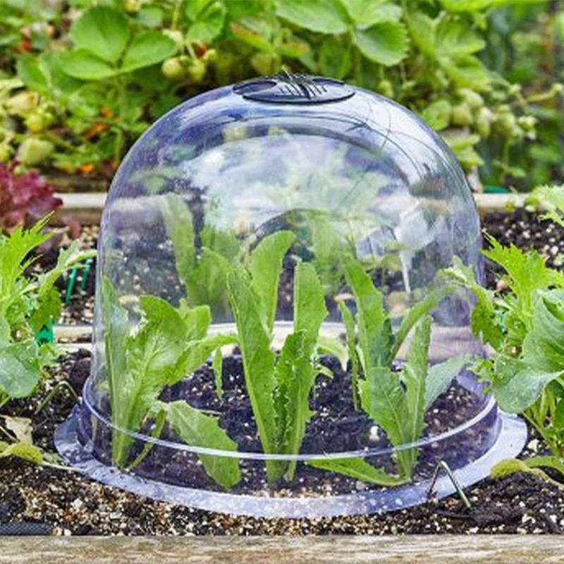 HOT SALE 12Pcs Garden Cloche,Plastic Plant Protect Cover Garden Cloche Dome For Outdoor Plant Humidity Adjustable Dome For Seed