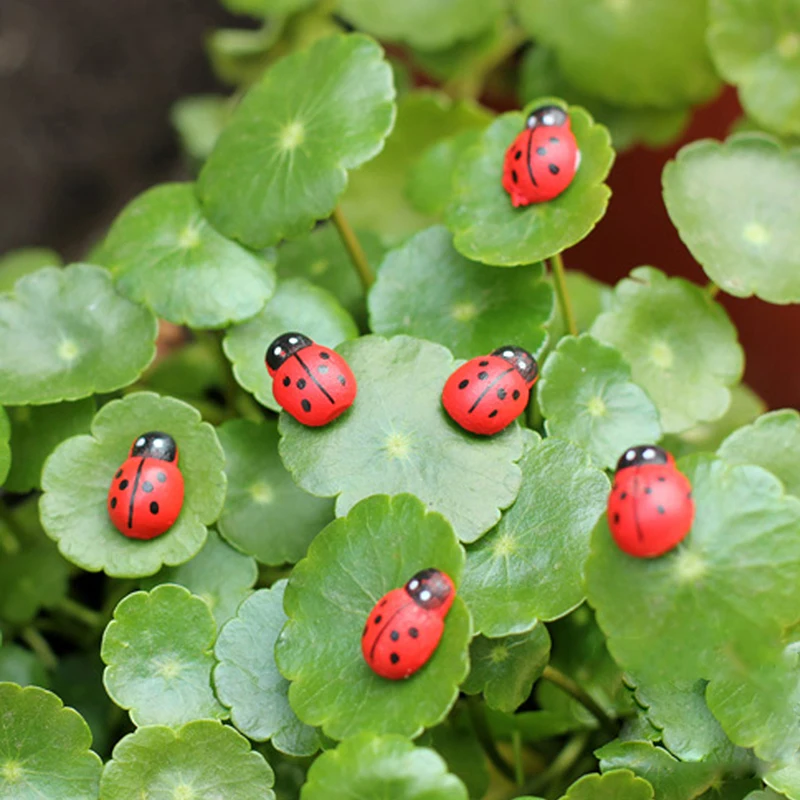 10Pcs Mini Ladybird Red Fy for Doll House Garden Decor Ornament