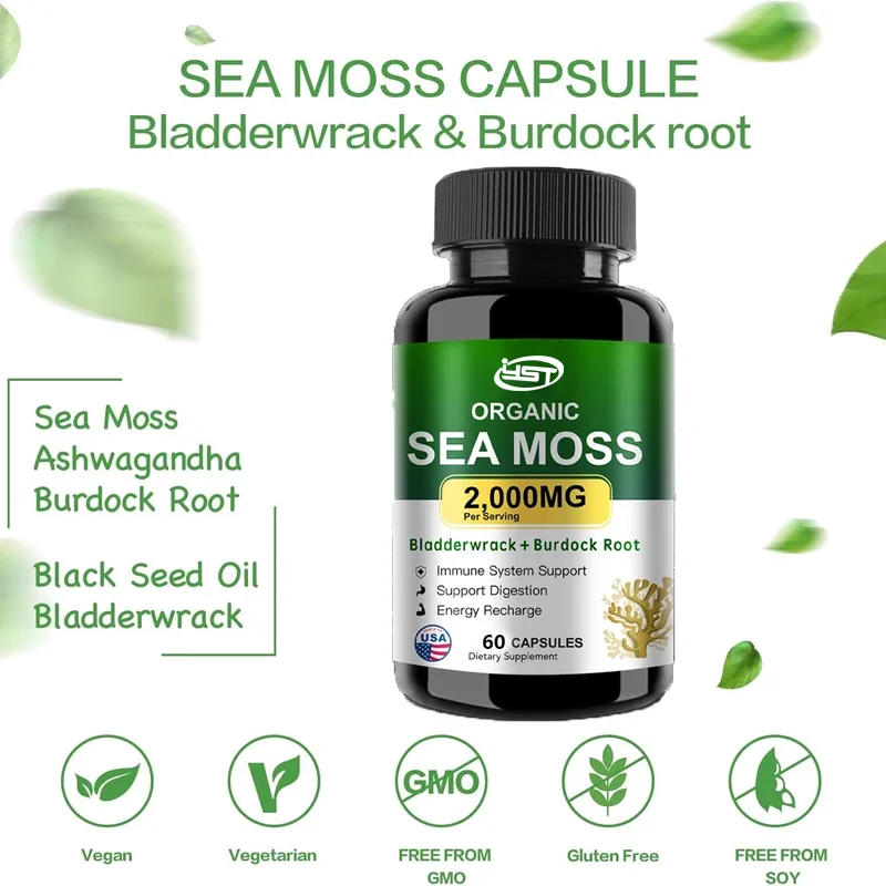 Organic seaweed capsules containing bladder, burdock root, and black pepper extract - promote immune system, thyroid support