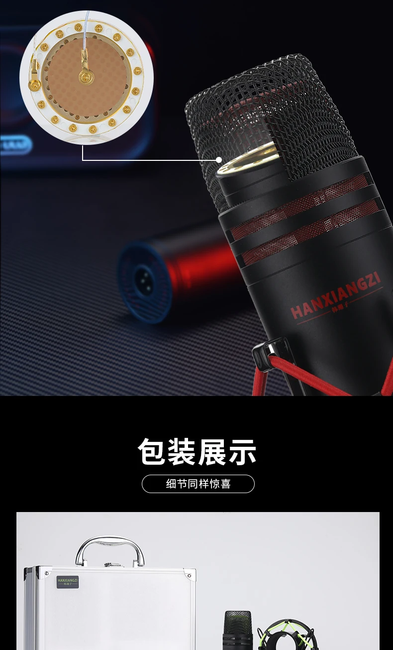 Studio record live microfono Pro con supporto antiurto a diaframma largo con custodia in alluminio per cantare