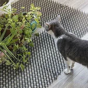 #14 Latest Cat Safety Window Nets Updates