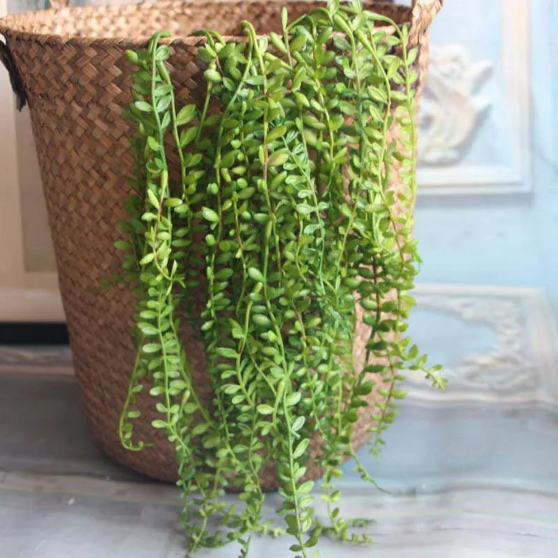 Artificial Succulents Pearls Fleshy Green Vine Branches Wall Hanging Plastic Rattan Plants Fall Home Wedding Decoration Flowers