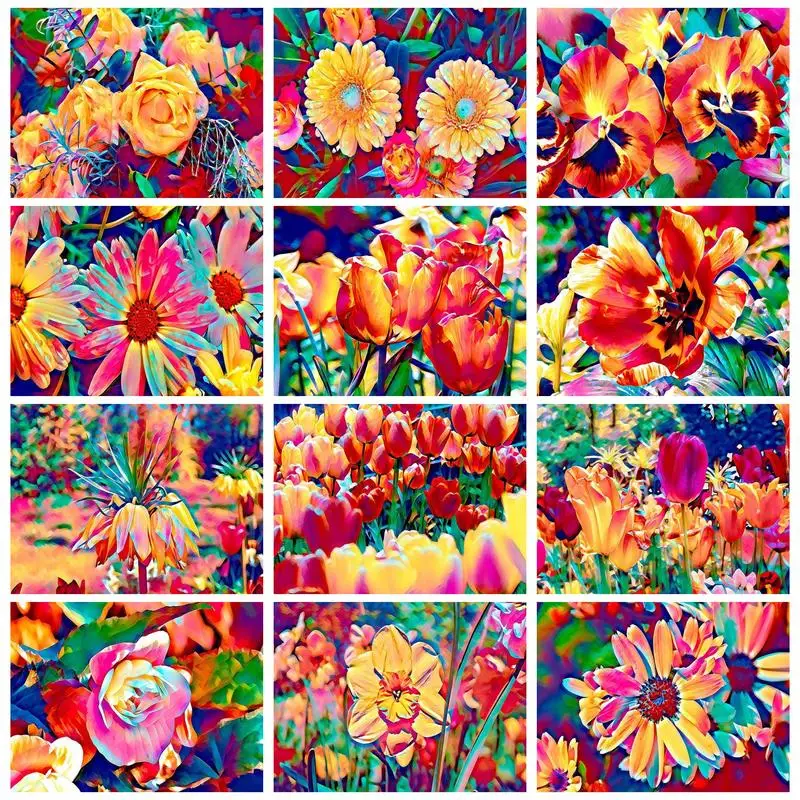 

PhotoCustom DIY Painting By Numbers For Starter Kits Colorful Flowers Acrylic Paints handpainted For Gift