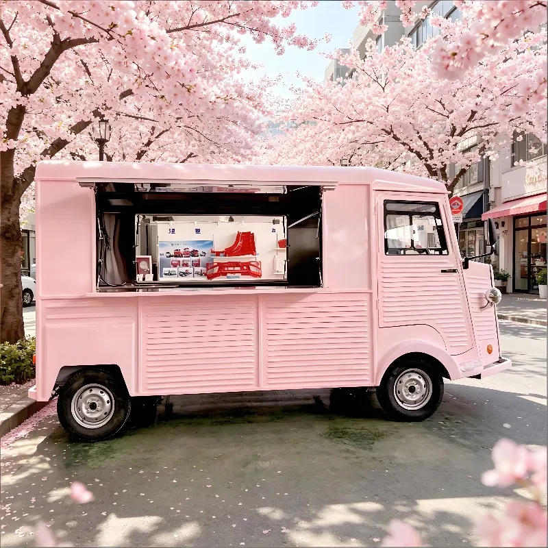 Custom Fried Chicken Food Truck with Commercial Fryer, Mobile Fast Food Trailer for Street Food, Events and Catering