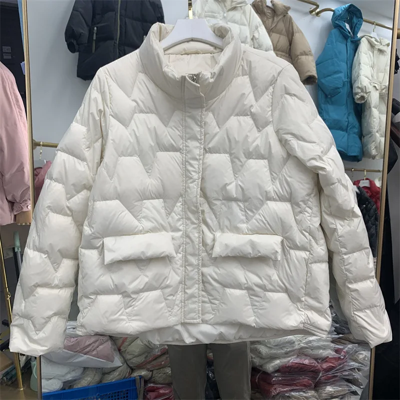 Winter Autumn Loose Padded Zipper Solid Color Jacket Stand Collar Casual All Match Warm White Duck Down Coat For Women