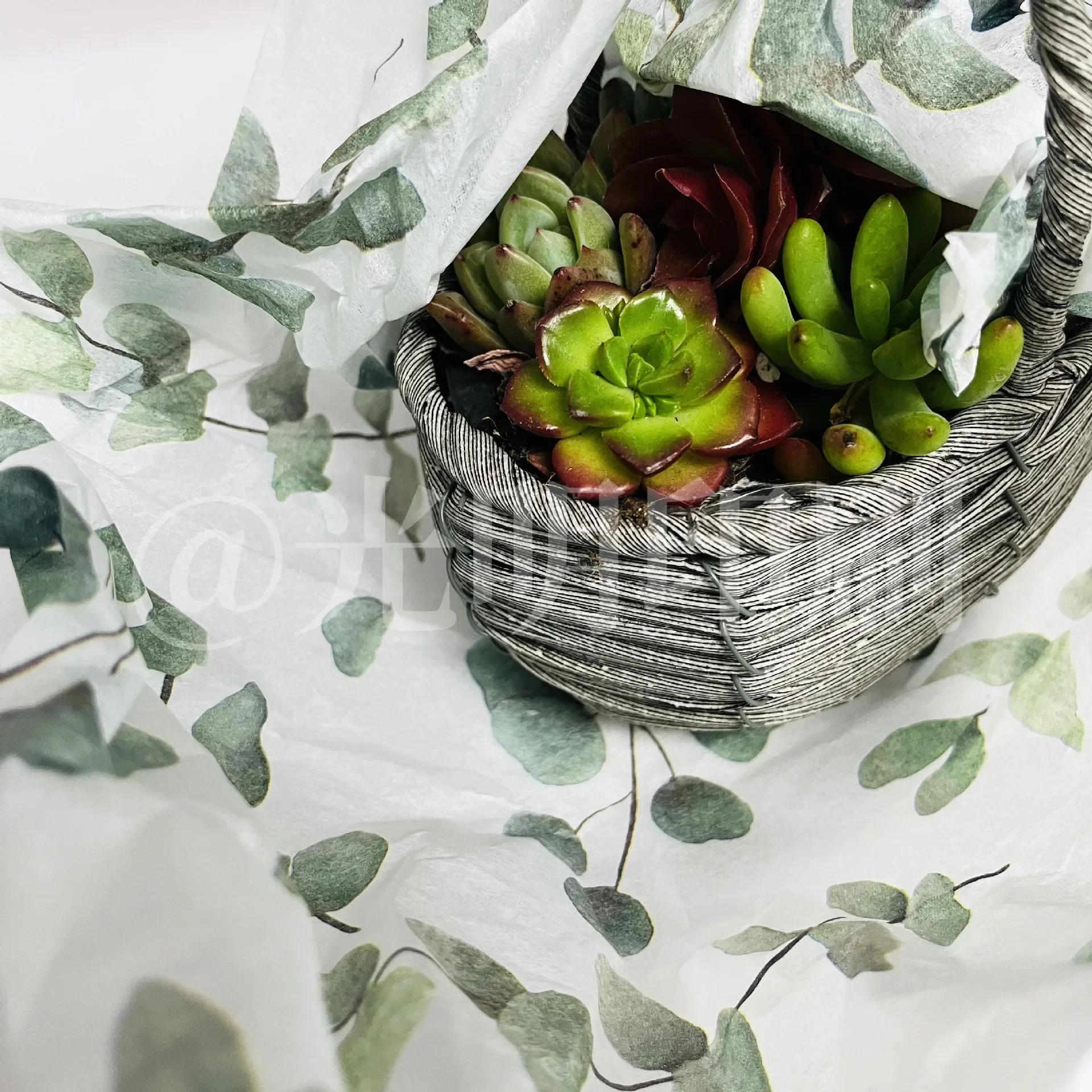 50x70cm Wild Forest Eucalyptus Leaf Snow Pear Paper Green Pattern Cutting Flowers Gift Box Tissue Paper Clothing Wrapping Paper
