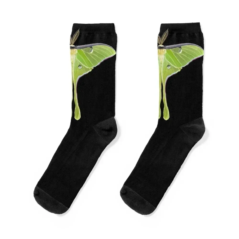 

Luna Moth Socks cycling bright garter professional running cool Mens Socks Women's