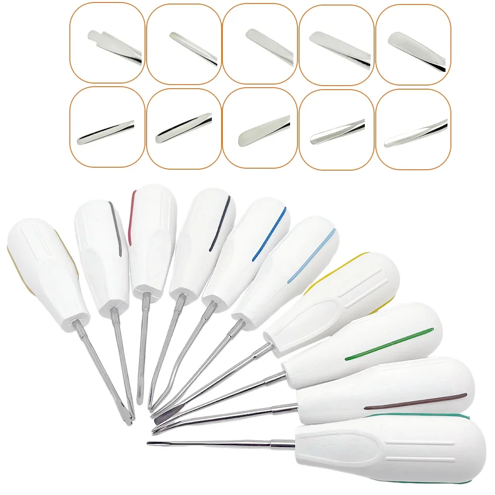 

10pcs/set Dental Root Elevators Luxating Tooth Extraction Kit with Plastic Handle for Oral Surgery