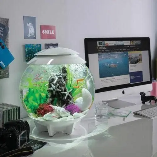 Halo 15 Acrylic Aquarium 4-gallon with Multi-Color Remote-Controlled LED Lights Modern Compact Tank for Tabletop or Desktop