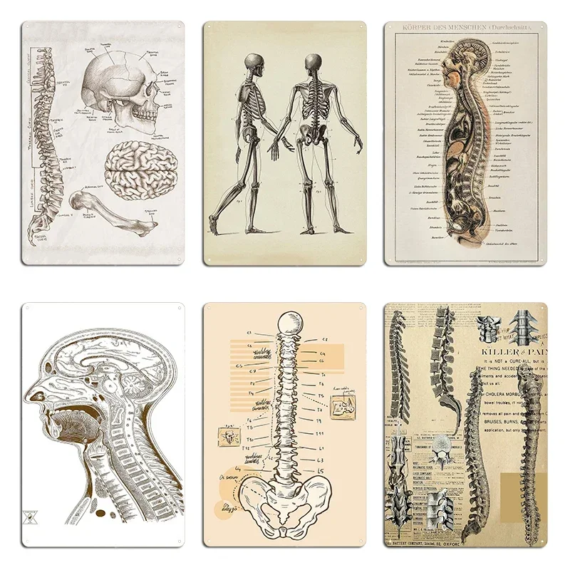 Vintage Anatomy Chart Internal system Metal Sign Cinema Classic Plaques printed Funny Tin Sign Poster