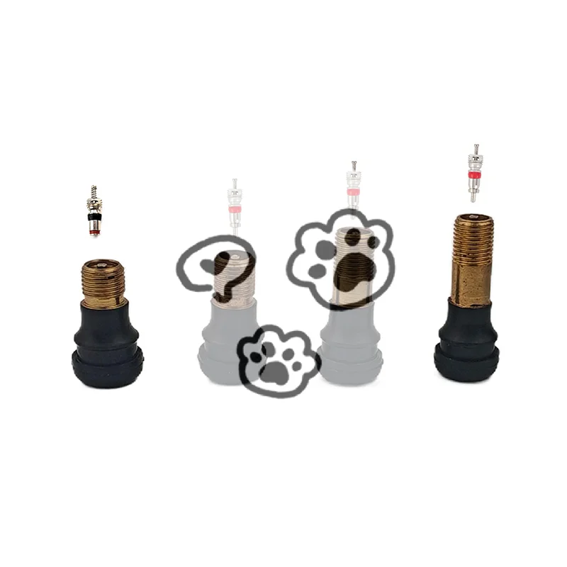 

Inflatable Air Nozzle Extension Air Valve Vacuum Tubeless Air Valve For M365 1S Electric Scooter Wheel Gas Valve Parts