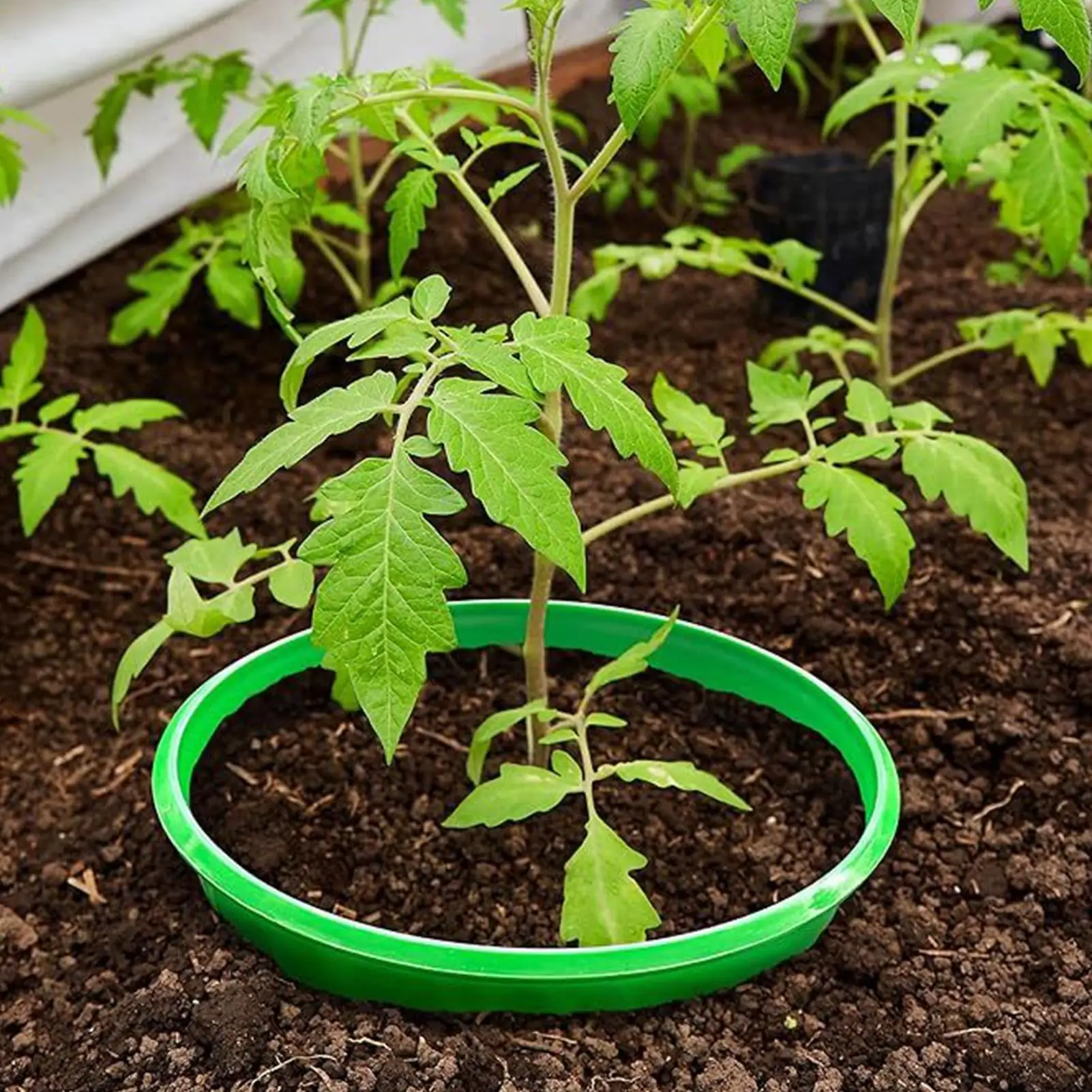 

6pcs Snail Collars Slug Plant Protection Collars Vegetables Covers Reusable Agricultural Plant Snail Guard Save Water