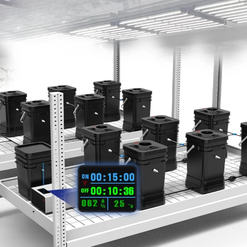 2025 New Mist Cultu… - image