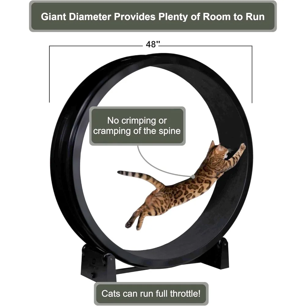 Cat Exercise Wheel …