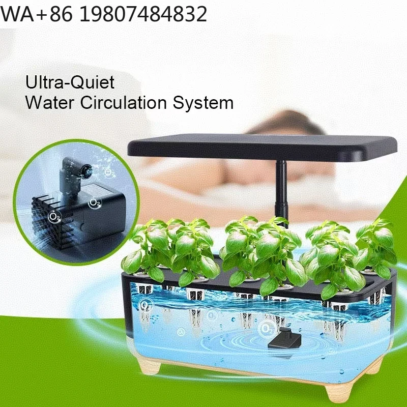 New Design  Indoor Soilless Seedling Cultivation Container Complete Hydroponic Starter Kit For Vegetable Seed Germination