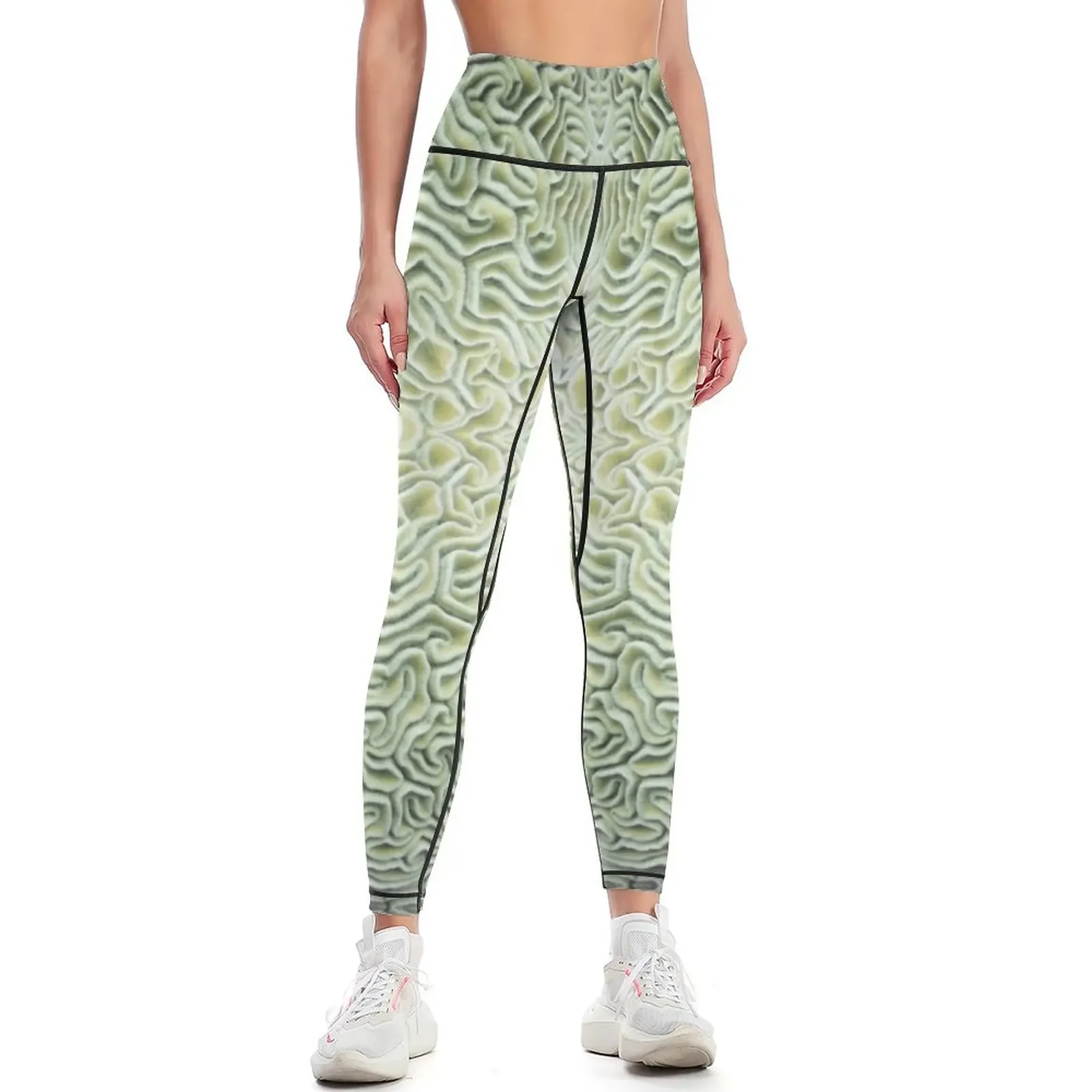 

Pic Your Brain Coral (Natural) Leggings Women's pants active wear sportswear woman gym 2025 gym womans Womens Leggings