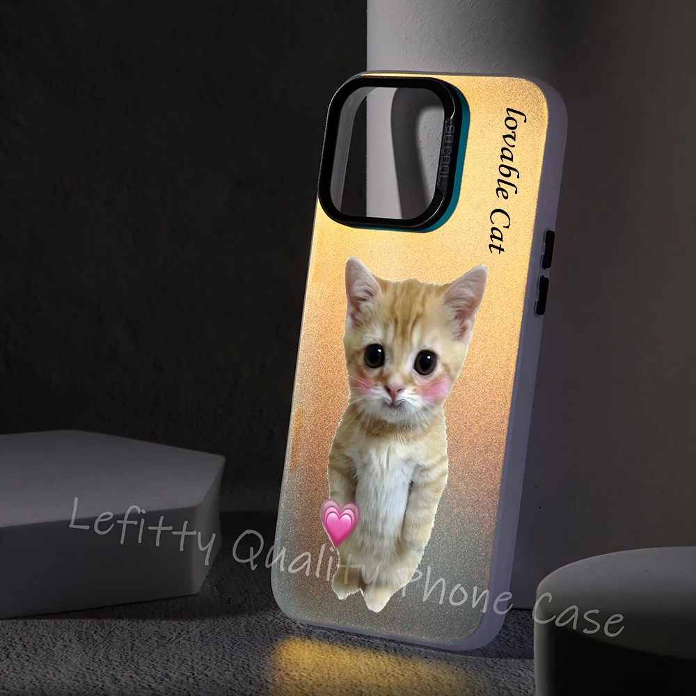 

Friend Funny Cute Cat Gift Phone Case For IPhone 16 15 14 13 12 11 Pro Max Matte Aurora Multicolor Laser Metallic Gradient Funda