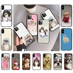 Shih Tzu Shitzu Dog Puppy Phone Case for iPhone 11 12 13 mini pro XS MAX 8 7 6 6S Plus X 5S SE 2020 XR case