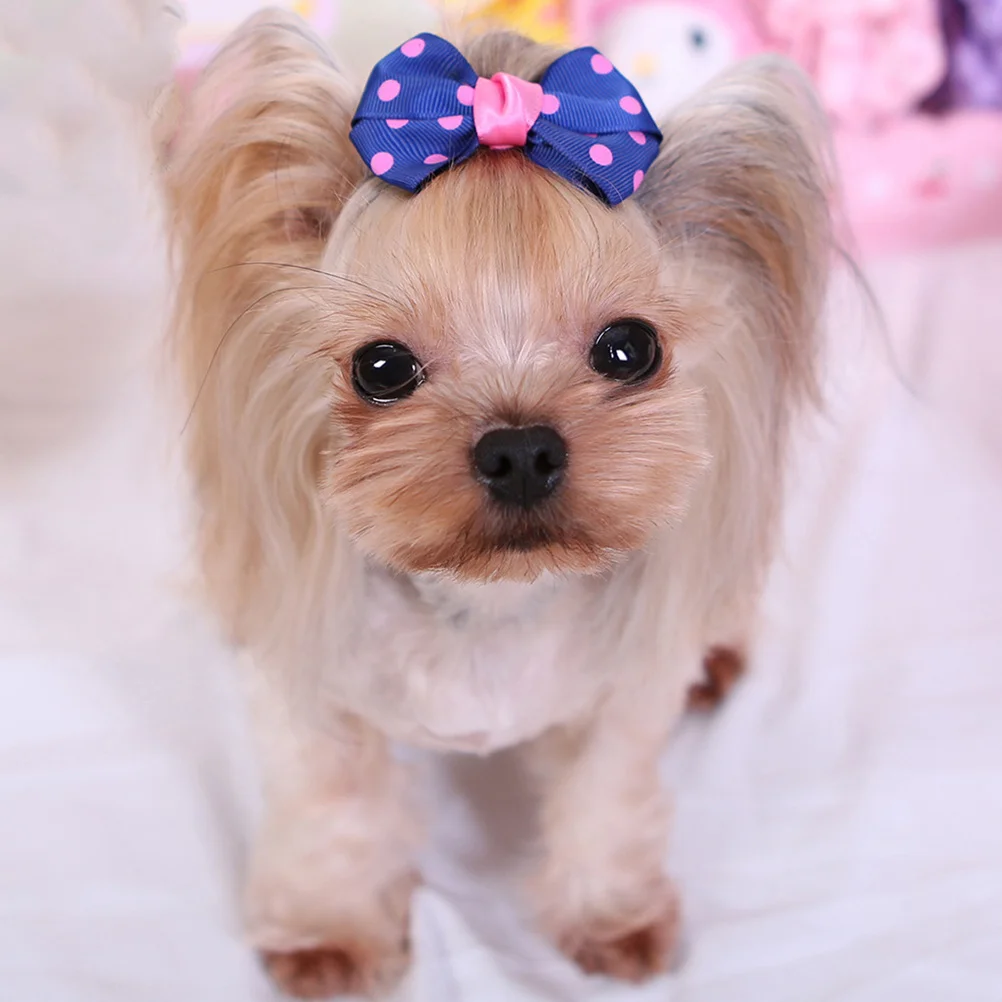 

6Pcs Pet Hair Clips Bowknot Shaped Stylish Barrette for Long Hair Pets Everyday Wear Barrette Bobby Pins Pet Supplies