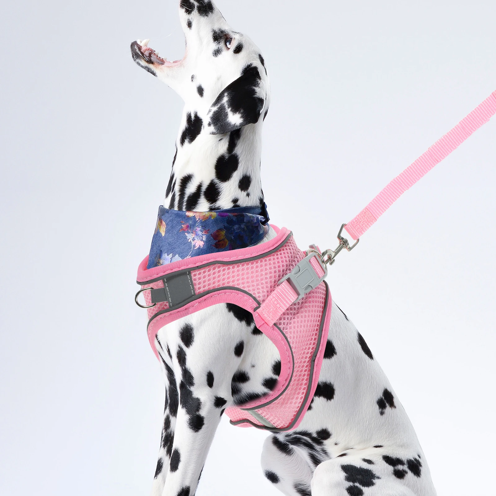 

2 Pieces Reflective Dog Harness Breathable Mesh Pet Leash Blue Grey L Size Walking Reflective Dog Harness Adjustable